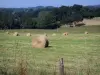 Landscapes of the Orne - Swiss Normandy (Suisse Normande): haystacks in a field overlooking the wooded countryside