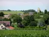 Landscapes of the Orne - Village surrounded by trees and fields