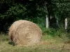 Landscapes of the Orne - Haystack