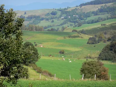 Landscapes of the Puy-de-Dôme