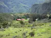 Landscapes of Réunion