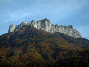 Landscapes of the Savoie in automn - Cliff and forest in autumn