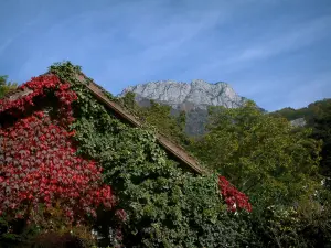 Landscapes of the Savoie in automn - House covered with red ivy (in autumn), trees, forest and cliffs