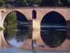 Landscapes of the Tarn-et-Garonne - Montauban: Pont Vieux bridge spanning River Tarn 