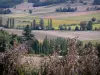 Landscapes of the Tarn-et-Garonne - Serie of fields and trees 