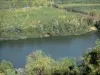 Landscapes of the Tarn-et-Garonne - View of River Garonne lined with trees