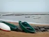 Landscapes of the Vendée