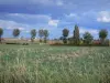 Landscapes of the Vienne - Fields, trees, farm in background, clouds in the sky