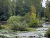 Landscapes of the Vienne - Vienne River, shrubs and trees