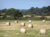 Landschaften der Brenne - Heuballen auf einem Acker, Sträucher und Bäume; im Regionalen Naturpark Brenne