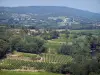 Landschaften des Gard - Côtes du Rhône Weinbau, Bäume, Häuser und Hügel