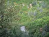 Landschaften des Gard - Strasse unterhalb gesäumt von Bäumen