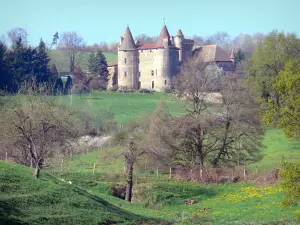 Landschaften der Haute-Loire - Château de Lespinasse, umgeben von Bäumen und blühenden Wiesen, in der Gemeinde Saint-Beauzire