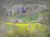 Landschaften der Haute-Loire - Allierschluchten: Steinhäuser umgeben von blühenden Wiesen, im Hintergrund Felswände