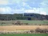 Landschaften der Haute-Loire - Windkraftanlagen dominieren Wald und Weiden