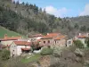 Landschaften der Haute-Loire - Steinhäuser am Waldrand