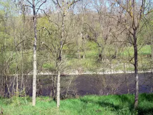 Landschaften der Haute-Loire - Alagnon-Tal: Alagnon-Fluss und Bäume entlang des Wassers