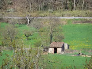 Landschaften der Haute-Loire - Steinhütte inmitten einer blühenden Wiese mit vielen Bäumen