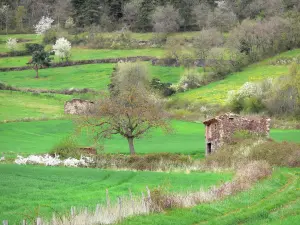 Landschaften der Haute-Loire - Steinhütten umgeben von Wiesen