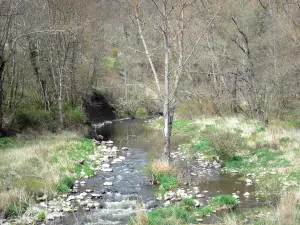 Landschaften der Haute-Loire - Kleiner Fluss gesäumt von Bäumen