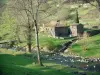 Landschaften der Haute-Loire - Mühle von Saint-Arcons-d'Allier und von Bäumen gesäumter Fluss