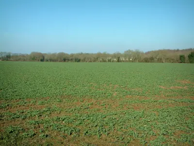 Landschaften des Hinterlandes der Bretagne