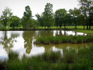 Landschaften vom Limousin - Bäume am Rande eines Teiches, in der Basse-Marche