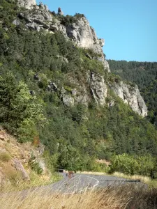 Landschaften der Lozère - Schluchten der Jonte: Felswände dominierend die Strasse der Schluchten; im Nationalpark der Cevennen