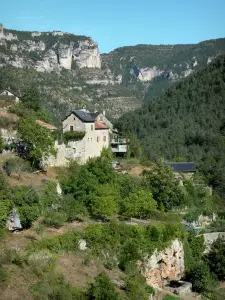 Landschaften der Lozère - Schluchten der Jonte - Nationalpark der Cevennen: Blick auf die Häuser und die Terrassenfeldbauten des Truel (Weiler der Gemeinde Saint-Pierre-des-Tripiers), und die Kalkfelsen der Schluchten