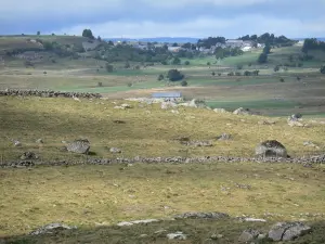 Landschaften der Lozère - Aubrac Lozérien Weiden umgeben von Mäuerchen aus Bruchstein