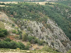 Landschaften der Lozère - Felswände und Bodenbewuchs der Schluchten des Chassezac; im Nationalpark der Cevennen