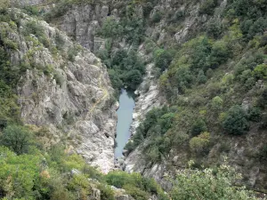 Landschaften der Lozère - Altier Schluchten - Nationalpark der Cevennen: Fluss Altier, Felswände und Pflanzenwuchs