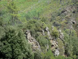 Landschaften der Lozère - Gebirge der Cevennen: Felsen umgeben von Grün