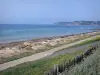 Landschaften der Normandie - Blumen, Spazierweg und Strand von Barneville-Carteret (Barneville-Plage) mit Blick auf das Meer (die Manche), den Hafen des Badeorts und
das Kap Carteret