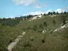 Landschaften der Provence - Häuser hochgestellt auf einen Hügel bedeckt mit Vegetation