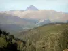 Landschaften der Pyrenäen - Tannenwald, Weideland, Gebirge der Pyrenäen darunter der Gipfel des Pic du Midi von Bigorre im Hintergrund