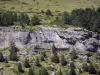 Landschaften der Pyrenäen - Nationalpark der Pyrenäen: Felswand umgeben von Tannen