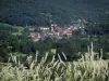 Landschaften des Quercy - Ähre vorne, mit Blick auf die Häuser eines Dorfes, die Bäume und den Wald