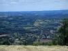 Landschaften des Quercy - Dürre Gräser vorne, mit Blick auf Häuser, Bäume, Felder und Wald