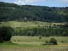 Landschaften des Quercy - Felder, Bäume, Wohnsitz und Wald