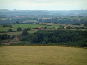 Landschaften des Tarn - Weide, Bäume, Häuser, Felder und Wälder