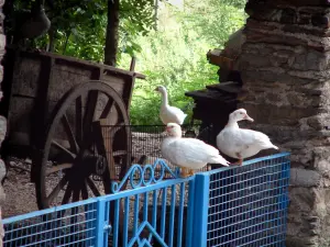 Landschaften des Tarn - Enten auf einem blauen Türchen, Karren aus Holz und Ganz im Hintergrund