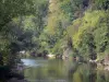 Landschaften des Tarn-et-Garonne - Schluchten des Aveyron: Fluss Aveyron gesäumt von Bäumen