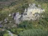 Landschaften des Tarn-et-Garonne - Schluchten des Aveyron: Kalkfelsen (Felswand) umgeben von Bäumen