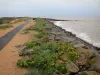 Landschaften der Vendée - Naturschutzgebiet der Bucht von Aiguillon: Wellenbrecher des Damms von Aiguillon, Vegetation, Gräser und Meer