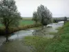 Landschaften der Vendée - Poitou Sumpf: Kanal, Bäume am Wasserrand und Wiese