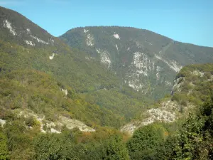 Landschappen van de Ain - Regionale Natuurpark van de Haut-Jura (Jura): bergen bedekt met bomen