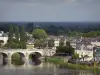 Landschappen van de Anjou - Loire-vallei: Loire rivier brug, huizen en gebouwen op het eiland Offard, in Saumur, bomen en bossen in het regionale natuurpark Loire-Anjou-Touraine