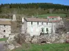 Landschappen van de Ardèche - Bergen van de Ardèche: stenen huizen in het dorp Mazan-abdij in een groene