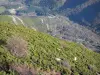 Landschappen van de Ardèche - Regionale Natuurpark van de Monts d'Ardèche - Ardèche Bergen: uitzicht op het groene terrein van massale Tanargue